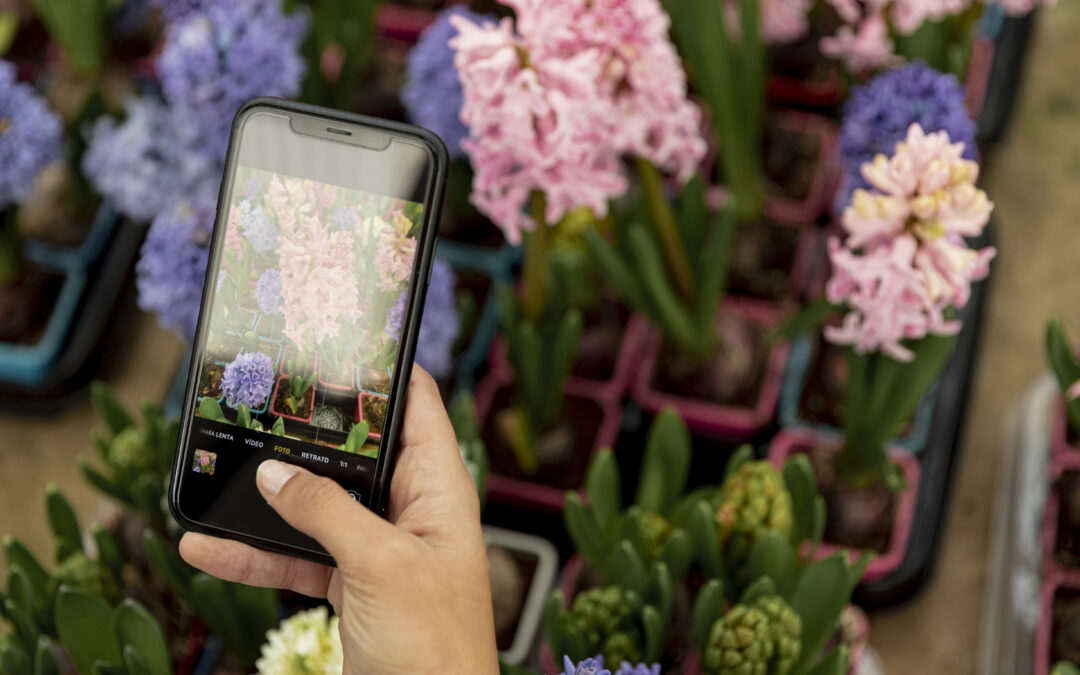 Como encantar o cliente da sua floricultura todos os dias