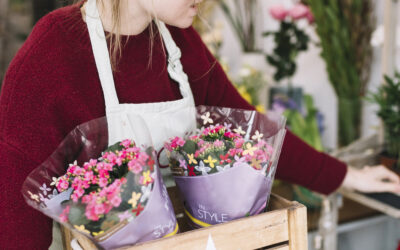 Você sabia? A organização certa no seu ateliê pode tornar sua floricultura mais produtiva